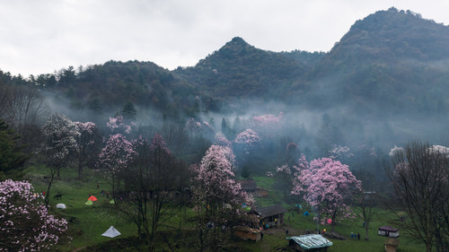 DJI 20240411072947 0186 D HDR.jpg