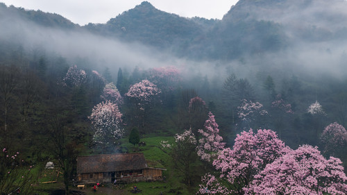 DJI 20240411072606 0137 D HDR.jpg