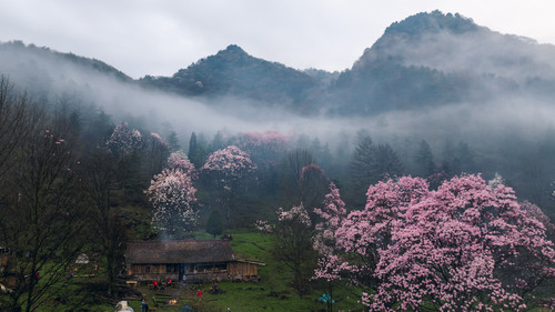DJI 20240411072524 0130 D HDR.jpg