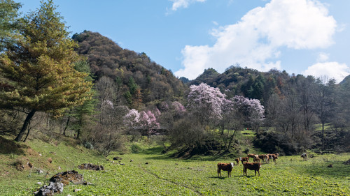 DJI 20240411102444 0345 D HDR.jpg