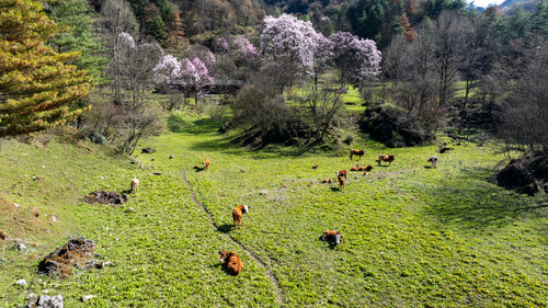 DJI 20240411101934 0306 D.jpg