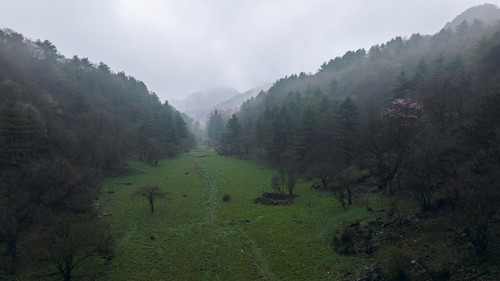 DJI 20240412082750 0457 D.jpg