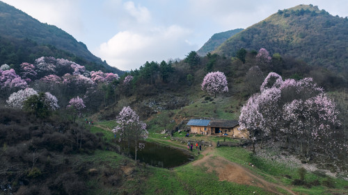 DJI 20240411180030 0429 D HDR.jpg