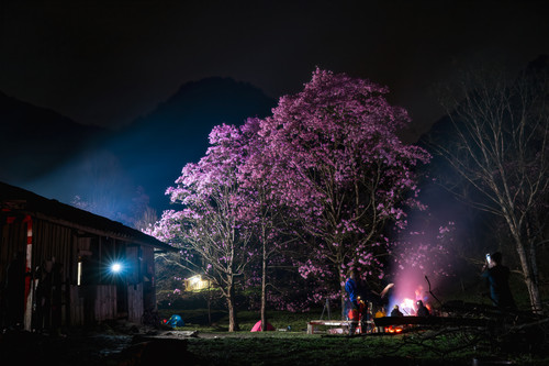 DSC 0108 已增强 NR.jpg