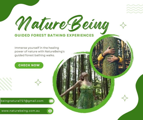 Guided Forest Bathing Experiences