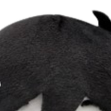 Untitled1897 20240411222741