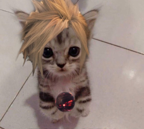 D53C275F C385 4A61 84DF B0E654879C40.jpg