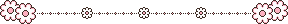 IMG 9425.png