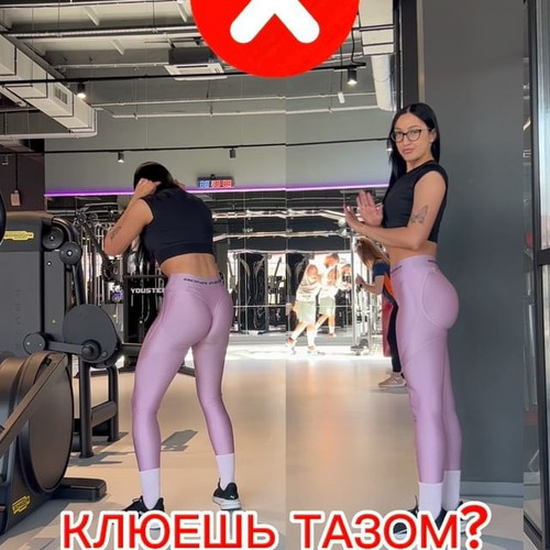leginassrt 250M