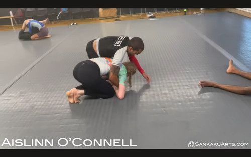 LEGINS JIUJITSU699J
