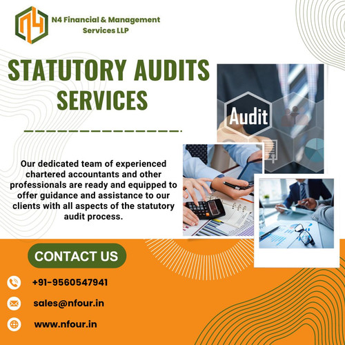 Statutory Audits Services.jpg