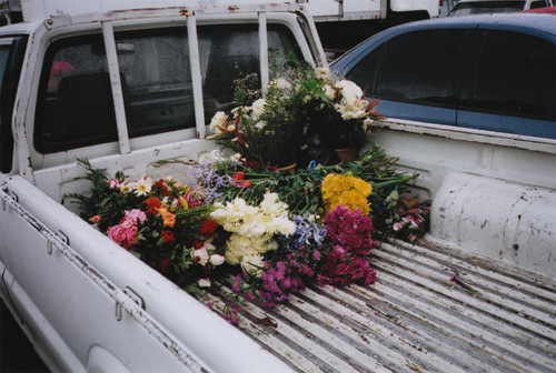 Tumblr l 288474903999537.jpg