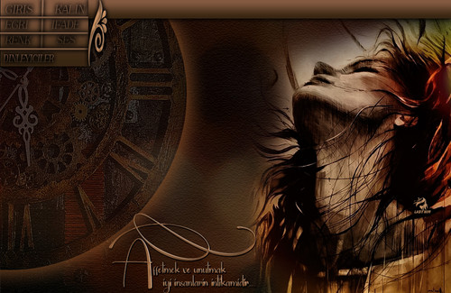 Lady Nur Affetmek.jpg