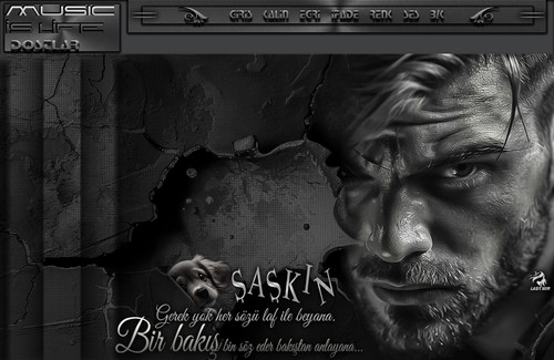 Lady Nur Dj Şaşkın Gerek yok her sözü.jpg