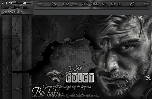 Lady Nur Dj Polat Gerek yok her sözü.jpg