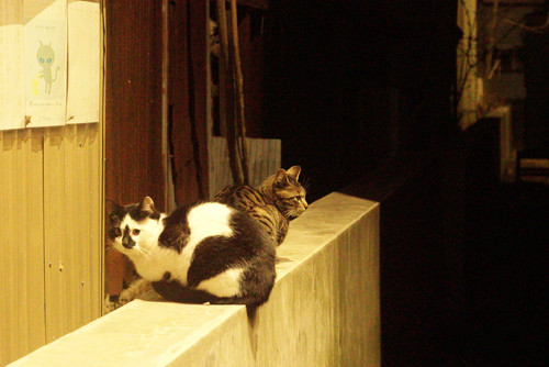 A7SDSC01790.jpg