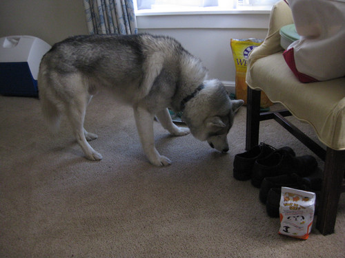 IMG 3338.jpg