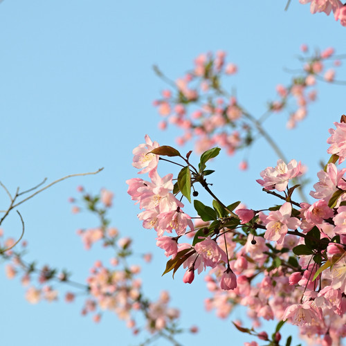 IMG 20240411 113822.jpg