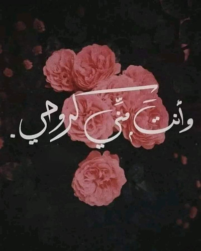 FB IMG 1712507576808.jpg