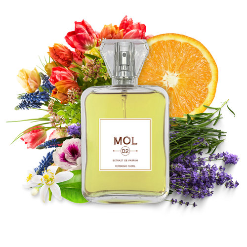 Perfume Feminino Mol 02 100ml (2).png