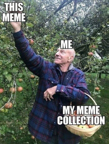 1000650698.jpg
