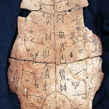Oracle Bone Shang Dynasty