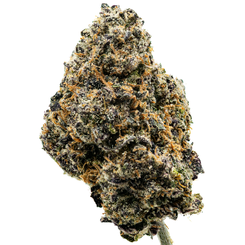 Black Mamba Inspiration.png