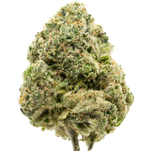 Cup Junky Inspiration.png