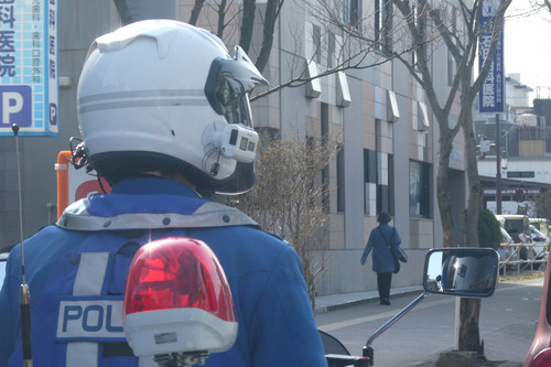 TZ95P1001957.jpg