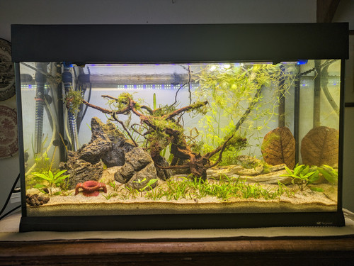 PXL 20240410 143005074