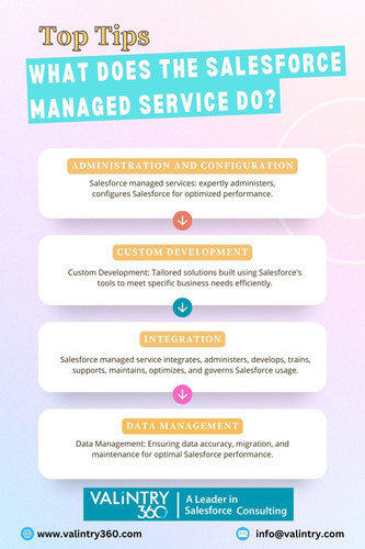 What does the Salesforce managed service do.jpg