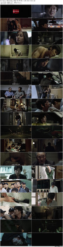 The.Chaser.2008.BluRay.1080p.DTS HD.MA5.1.x265.10bit beAst preview.jpg