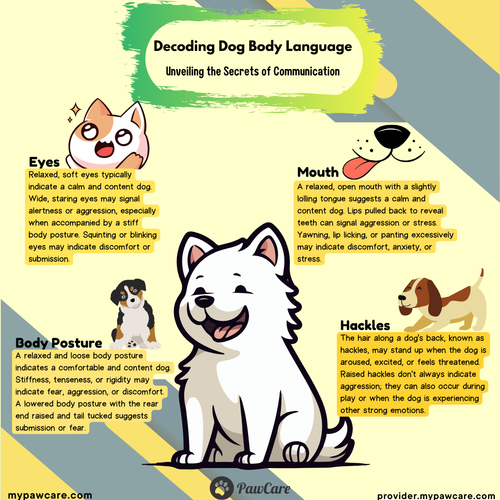 Decoding Dog Body Language Unveiling the Secrets of Communication.png