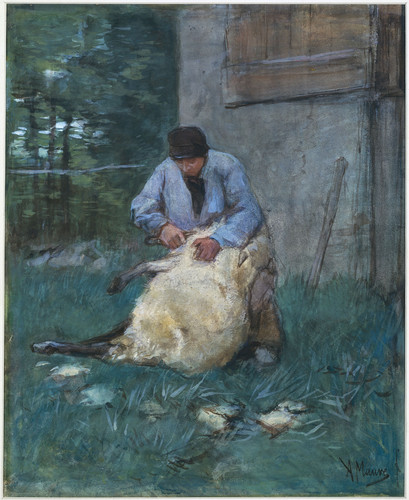Mauve, Anton Стрижка овцы, 1888, 461 mm х 382 mm, Рисунок, акварель