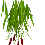 pngwing.com (71)1.png