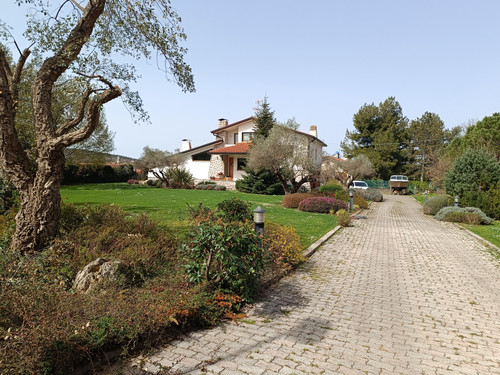 IMG 20240330 111321.jpg