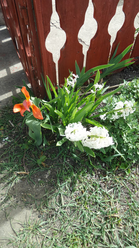 20140313 194009[1].jpg