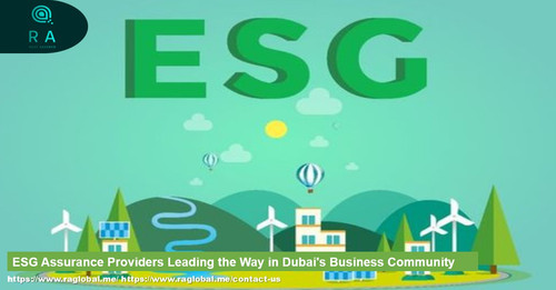 ESG Assurance Providers Leading the Way in Dubai's Business Community.jpg