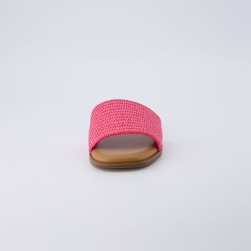 SESAME FUCHSIA RF 3.jpg