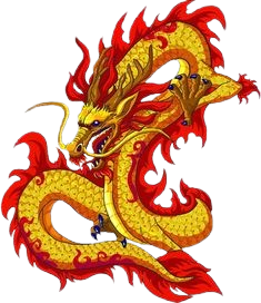image removebg preview (2).png