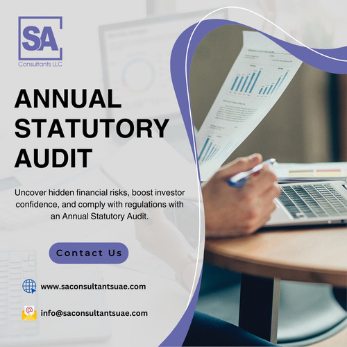 Annual Statutory Audit Services in Dubai | SA Consultants UAE.jpg