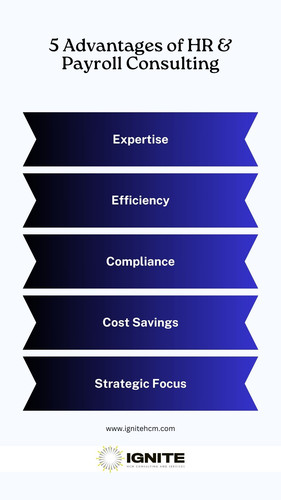 HR & Payroll Consulting.jpg