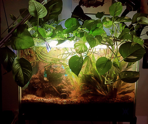 IMG 20240329 203941 826