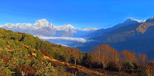 Poon-hill-trek.gif
