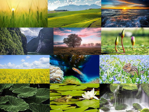 ' Glorified is The Mighty Creator '.jpg