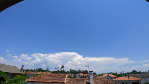 IMG 20200529 132242.jpg