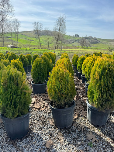 WhatsApp Image 2024 04 01 at 12.12.09 68654341.jpg