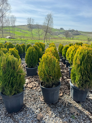 WhatsApp Image 2024 04 01 at 12.12.09 68654341.jpg