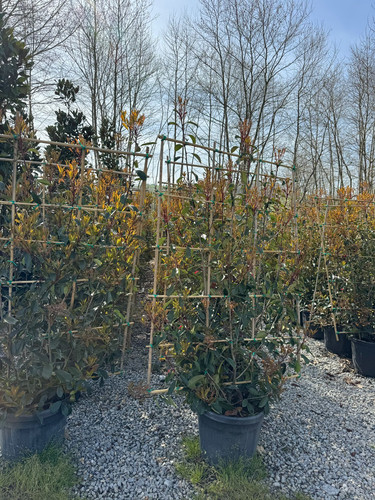 WhatsApp Image 2024 04 01 at 12.12.10 7a58af9e.jpg