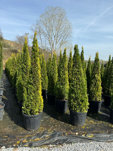 WhatsApp Image 2024 04 01 at 12.12.11 31f8c48a.jpg